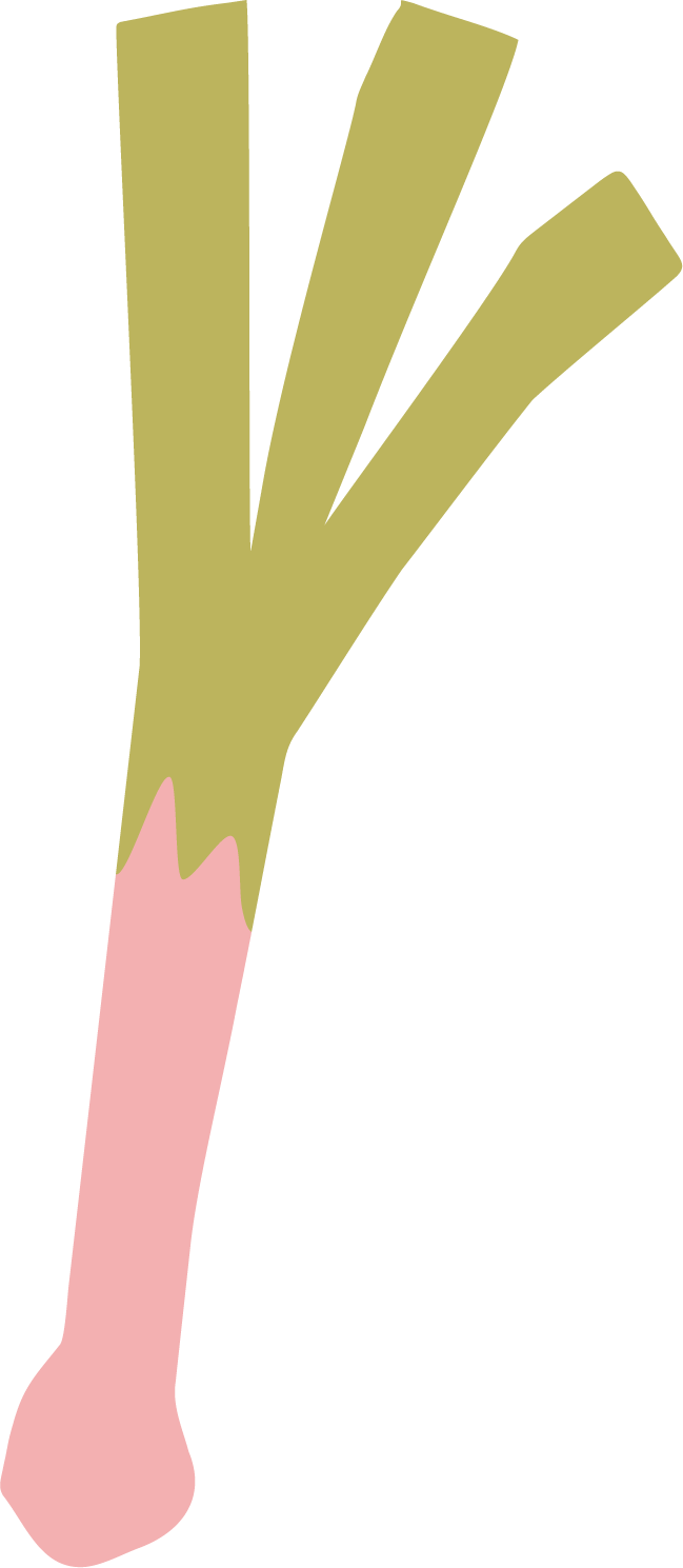 Elementos-YCF_--01